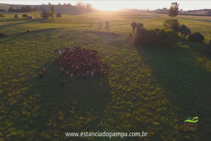 Fazenda Reconquista - Cachoeira do Sul.00_01_12_00.Quadro017_1a61bfb9eae64d38ae29d391a00454f3ced2b184.png